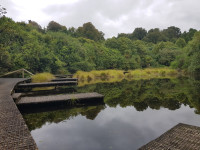 Bushy Park Tarapuruhi